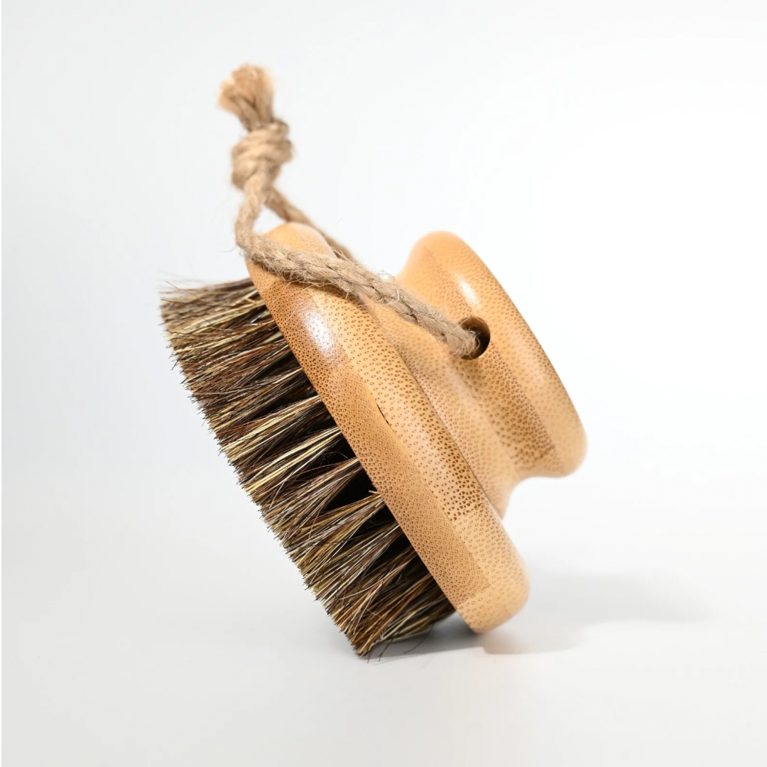 Exfoliating Dry Body Brush- light natural Bamboo handle and body, with brown and beige natural bristle's and natural string on white back ground. 